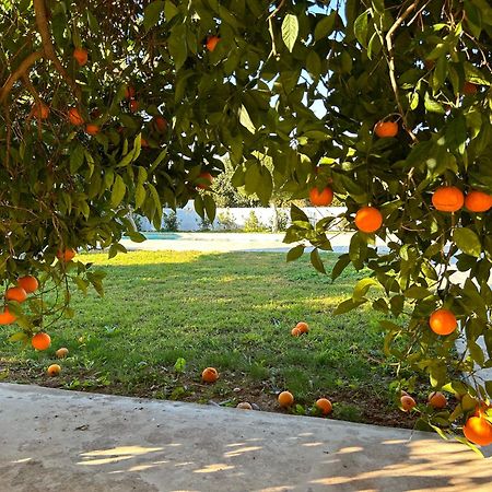 Ferienwohnung The Orange Garden Nafplio Exterior foto